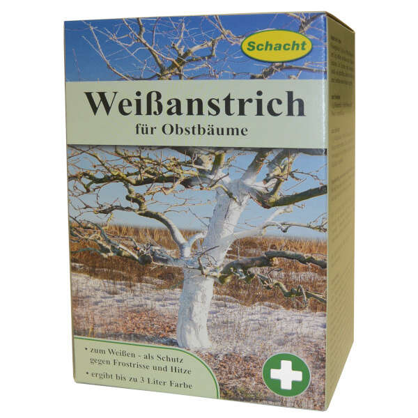 Weißanstrich für Obstbäume